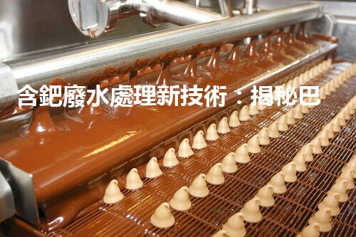 含鈀廢水處理新技術：揭秘巴洛仕的環(huán)保創(chuàng)新！